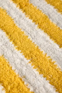 Vertical Cabana Striped Shag Rug