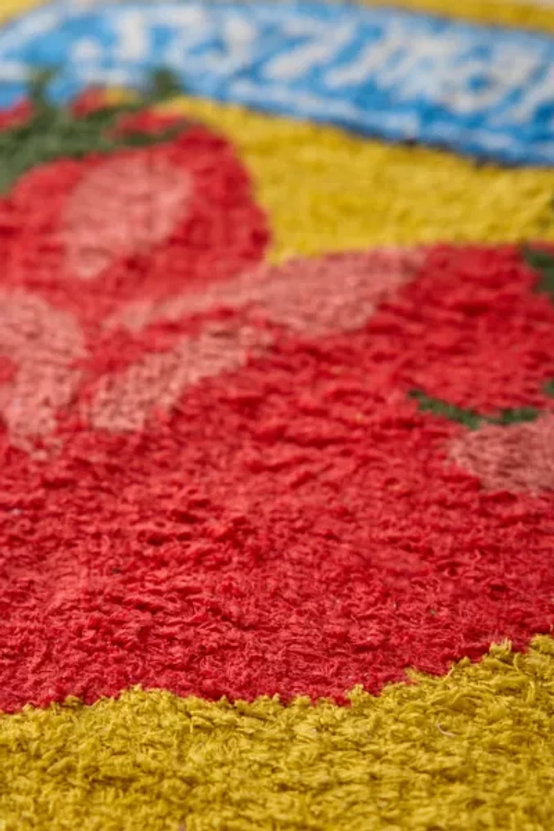 San Marzano Tomato Can Shape Tufted Shag Rug