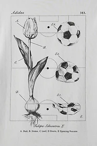 adidas House Of Tiro Tulip Graphic Tee