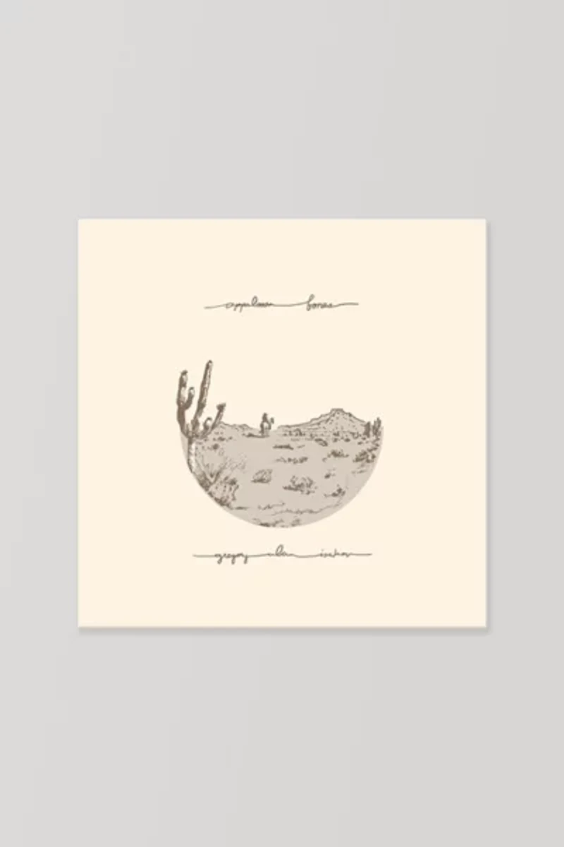 Gregory Alan Isakov - Appaloosa Bones LP