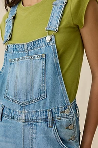 BDG Rih Extreme Barrel-Leg Overalls