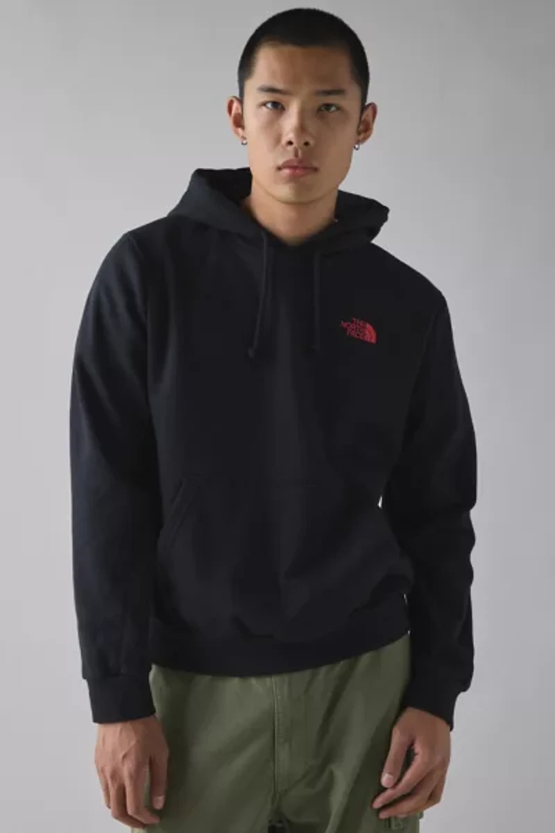 The North Face Evolution Mountain Works Hoodie Sweatshirt