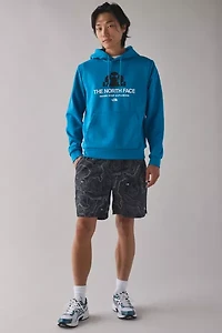 The North Face Evolution Graphic Hoodie Sweatshirt