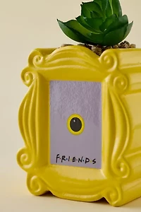 Friends Peephole Frame Succulent Planter