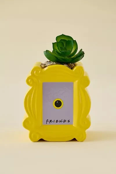 Friends Peephole Frame Succulent Planter