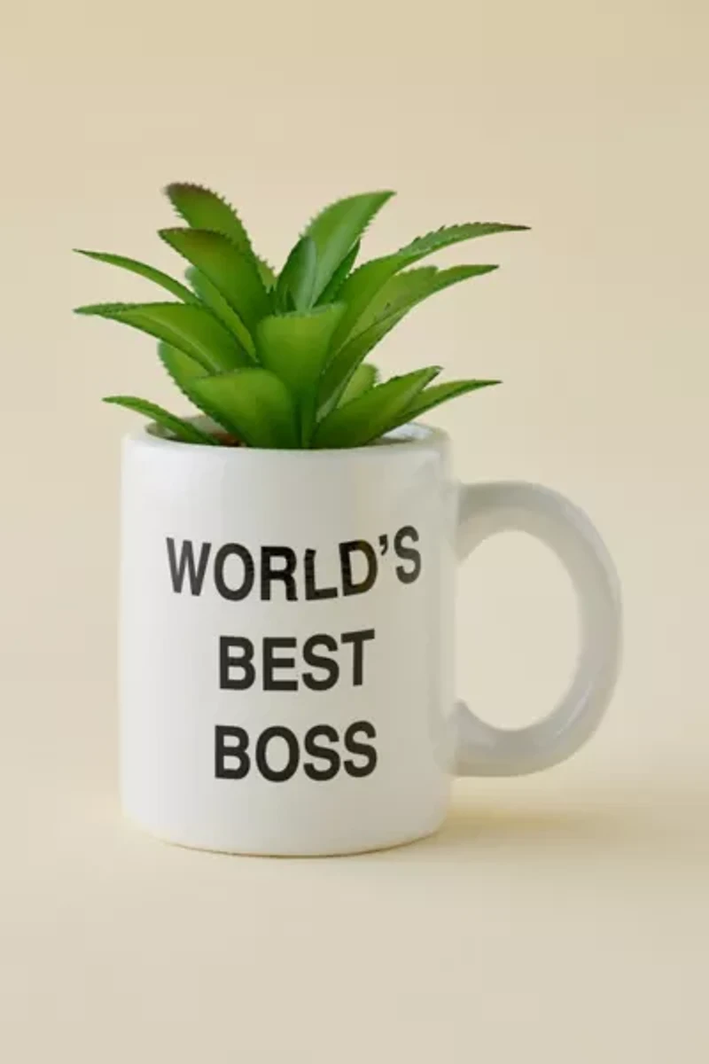 The Office World’s Best Boss Mug Succulent Planter