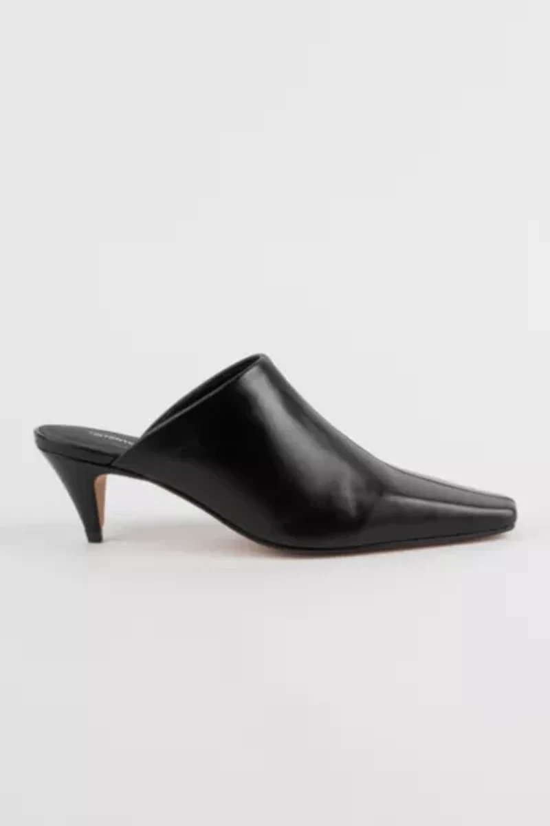 Intentionally Blank Officially Heeled Mule