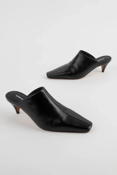 Intentionally Blank Officially Heeled Mule