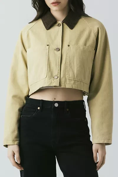 BLANKNYC Breaking Camp Cotton Twill Cropped Barn Jacket