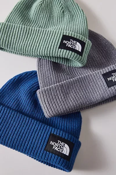 The North Face Salty Lined Beanie
