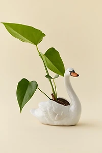 Swan Shape Ceramic Planter