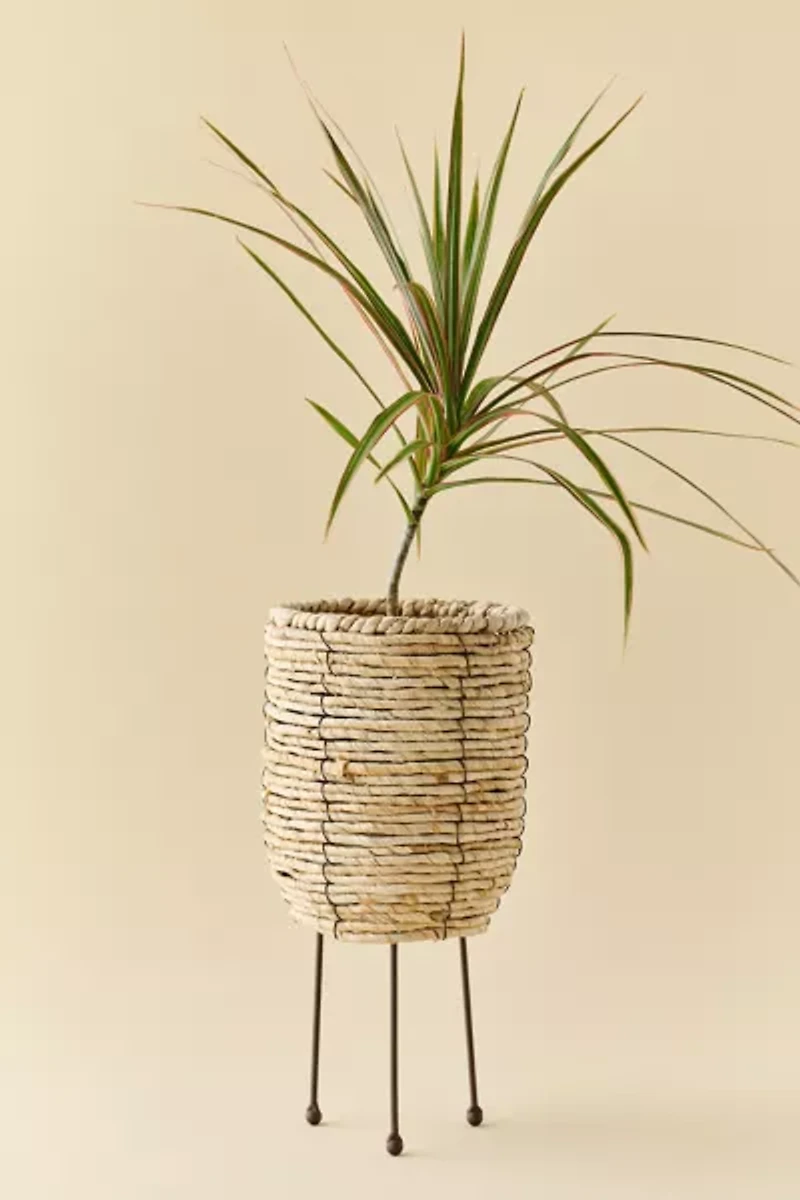 Woven Rattan Basket Planter