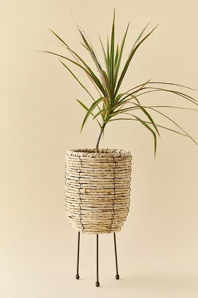 Woven Rattan Basket Planter