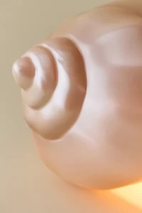 Shell Shaped Table Lamp