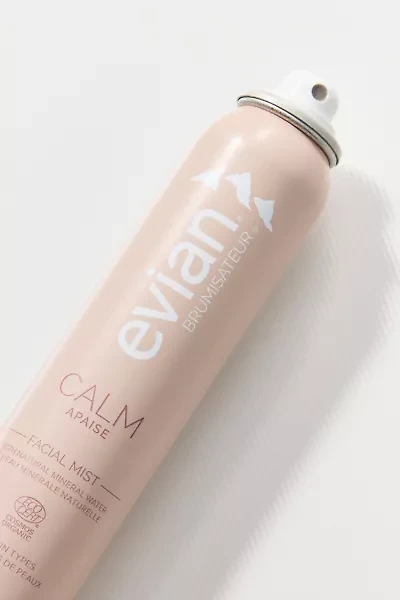 Evian Brumisateur® Natural Mineral Water Facial Mist