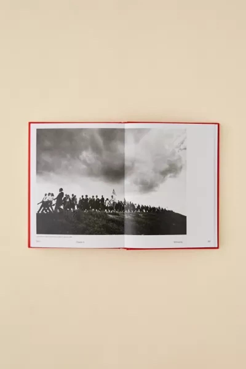 Race Stories: Essays On The Power Of Images By Maurice Berger