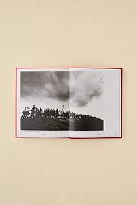 Race Stories: Essays On The Power Of Images By Maurice Berger
