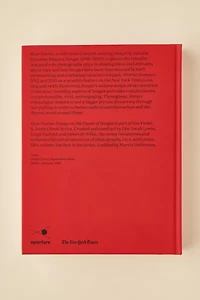 Race Stories: Essays On The Power Of Images By Maurice Berger