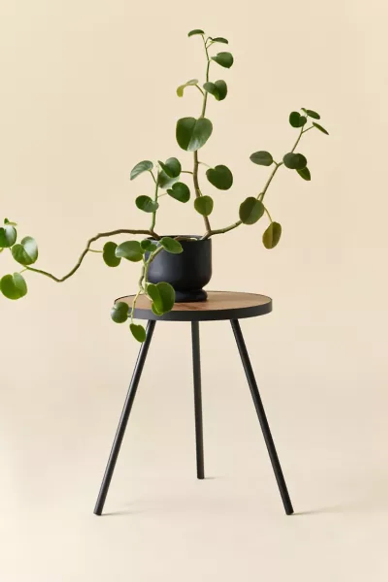 Violet Metal Tri-Leg Side Table