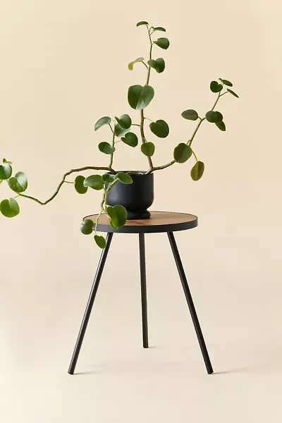 Violet Metal Tri-Leg Side Table