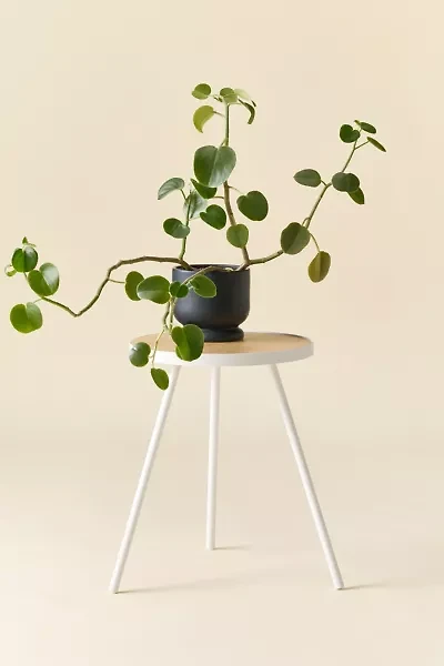 Violet Metal Tri-Leg Side Table