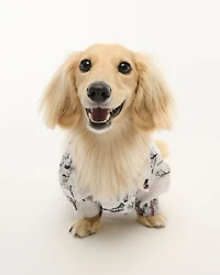 A&F Pet Flannel