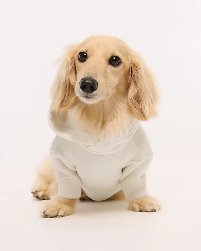 Detroit Lions Pet Pupover