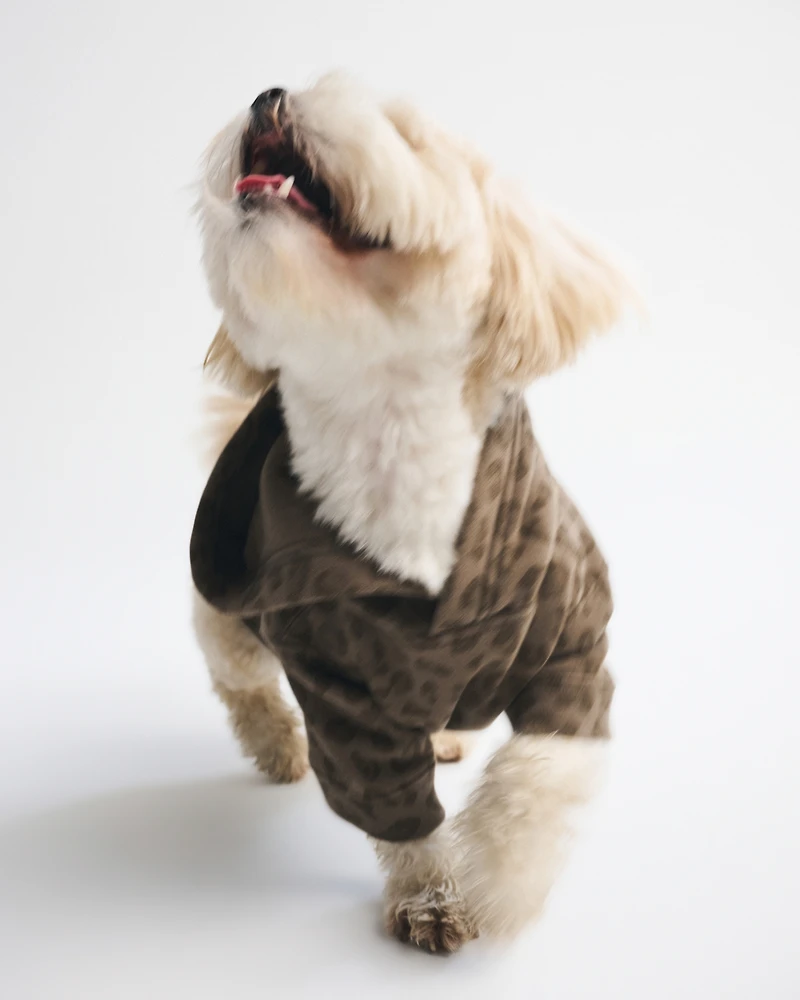 The A&F Essential Pet Pupover