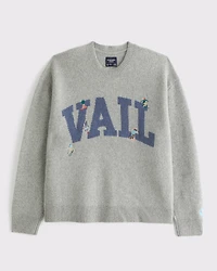 Oversized Vail Graphic Crew Sweater