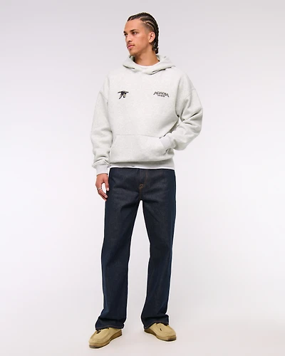 Acadia Graphic Popover Hoodie