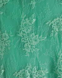 The A&F Julia Slip Lace Maxi Dress