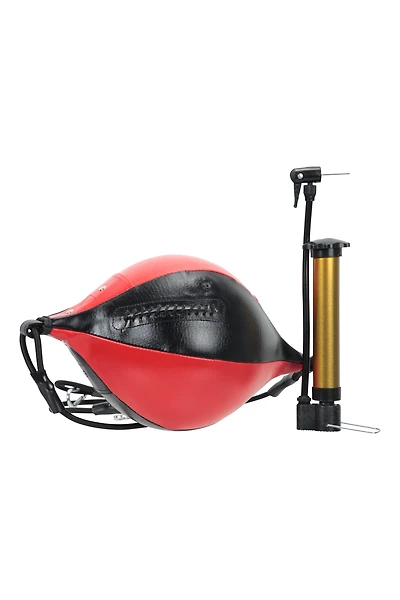 Boxing Ball with Pump