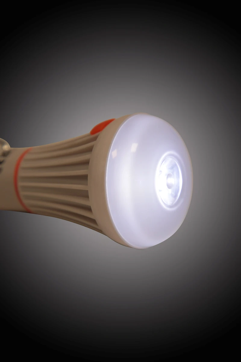 6 LED Lightbulb Lantern