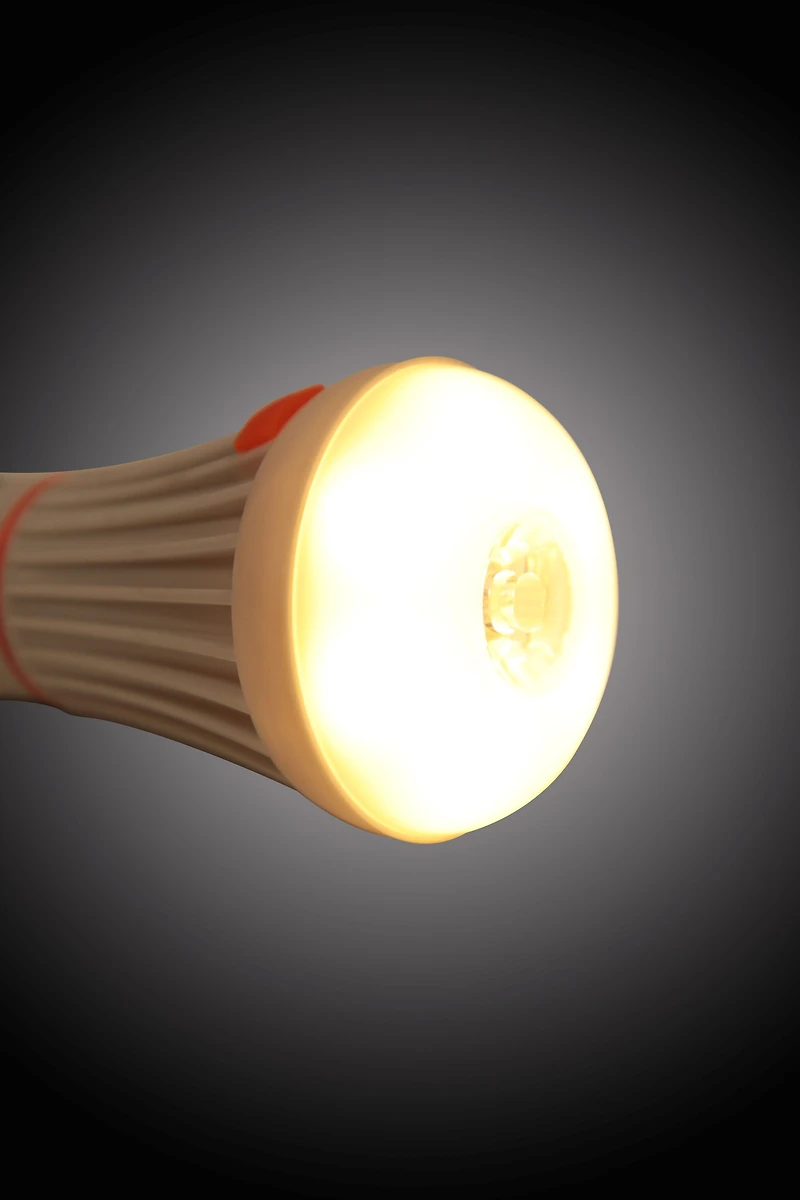 6 LED Lightbulb Lantern