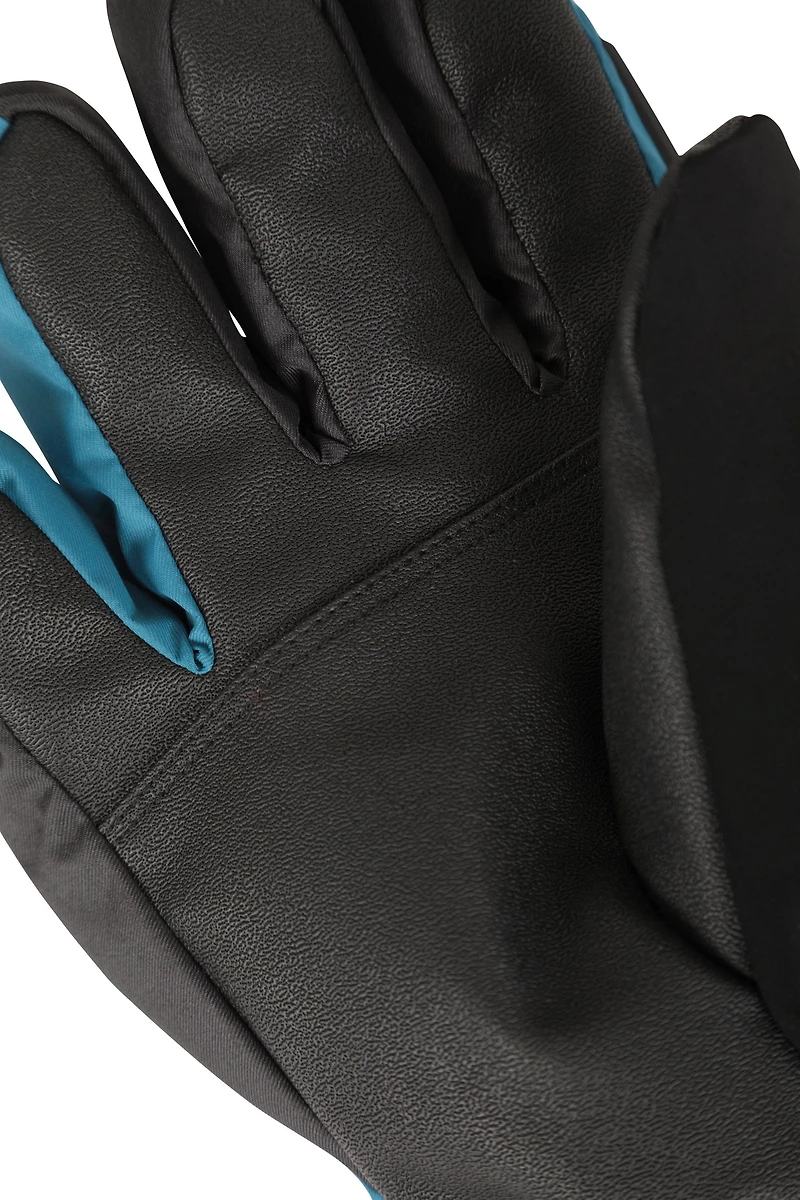 Summit Extreme Mens Ski Gloves