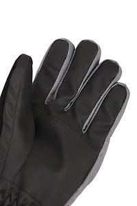 Thinsulate® Mens Waterproof Ski Gloves