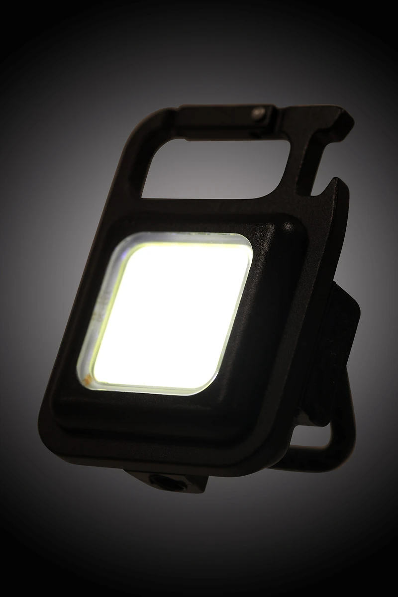 Clip On Light