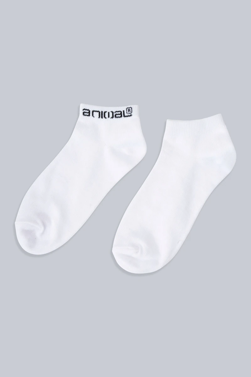 Ronnie Womens Socks 3-Pack