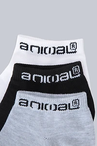 Ronnie Womens Socks 3-Pack