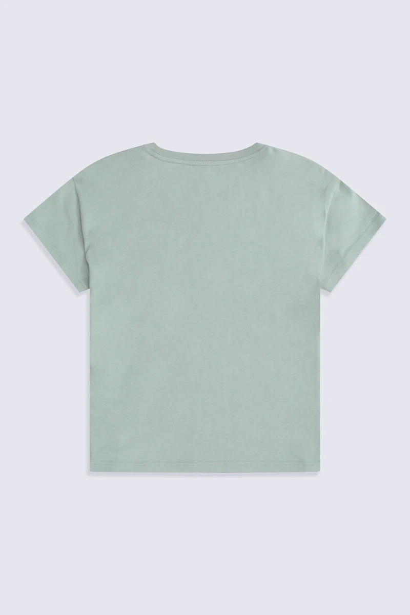 Phoenix Womens T-Shirt