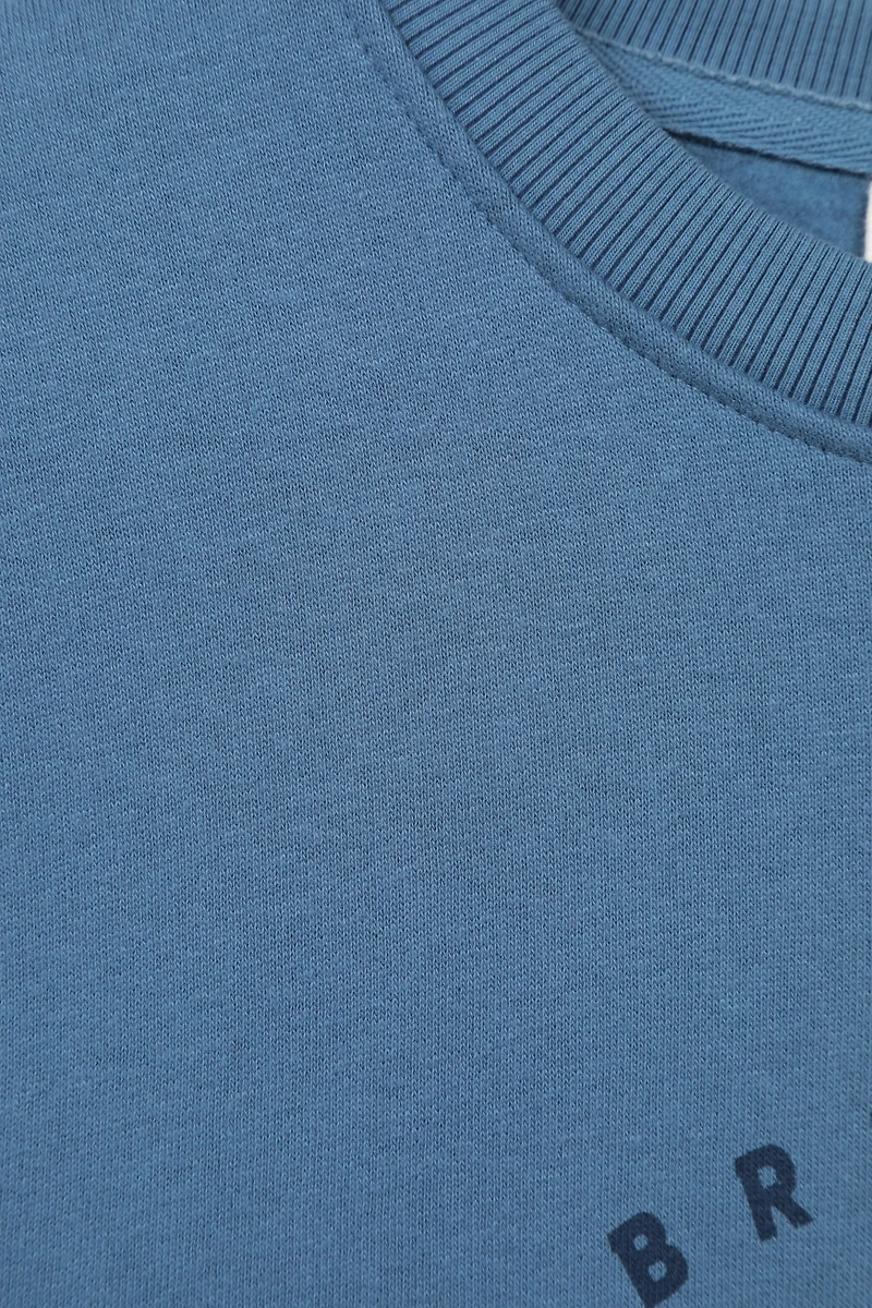 Regional Mens Whistler Graphic Sweatshirt