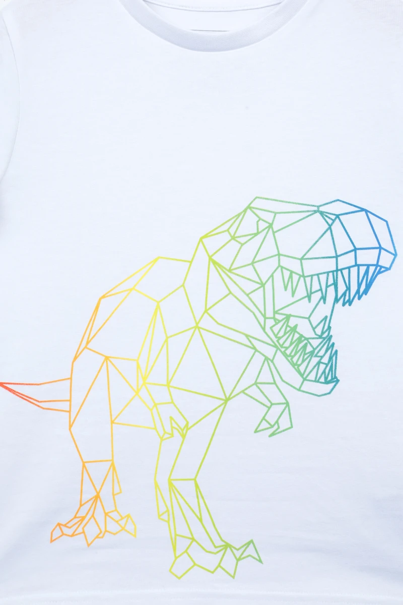 Ombre Geo Dino Kids Tee