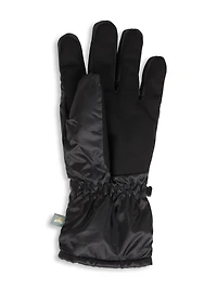 EMS Mens Mercury Ski Glove