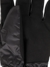 EMS Mens Mercury Ski Glove