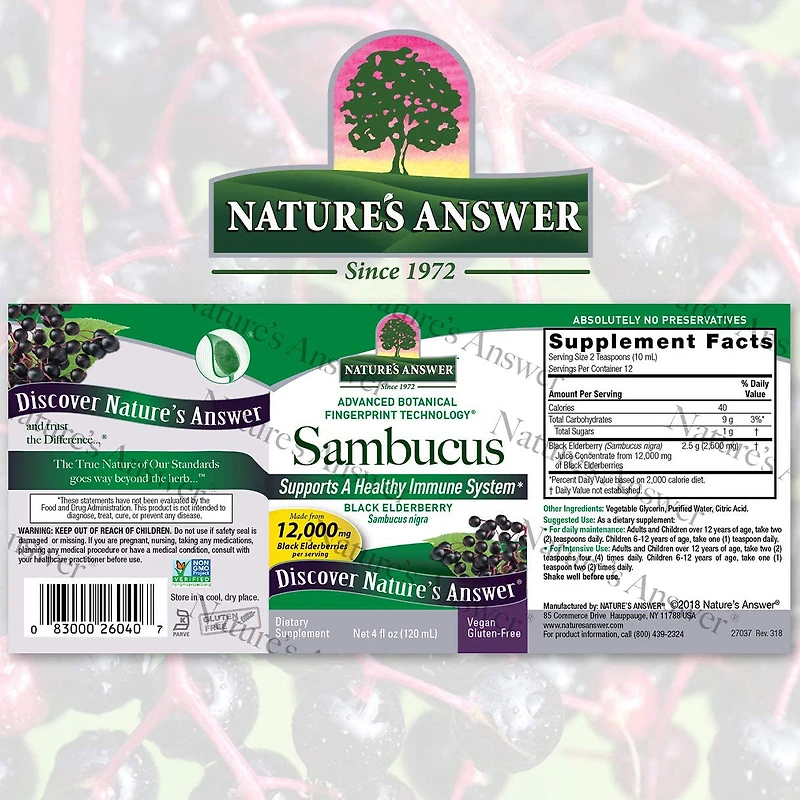 Sambucus Black Elderberry