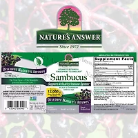 Sambucus Black Elderberry