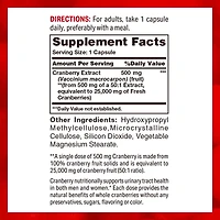 Cranberry Concentrate 500 mg Equivalent to 25,000 mg of Fresh Cranberries