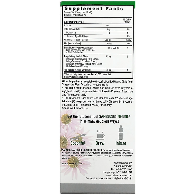 Sambucus Black Elderberry