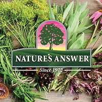 Sambucus Black Elderberry