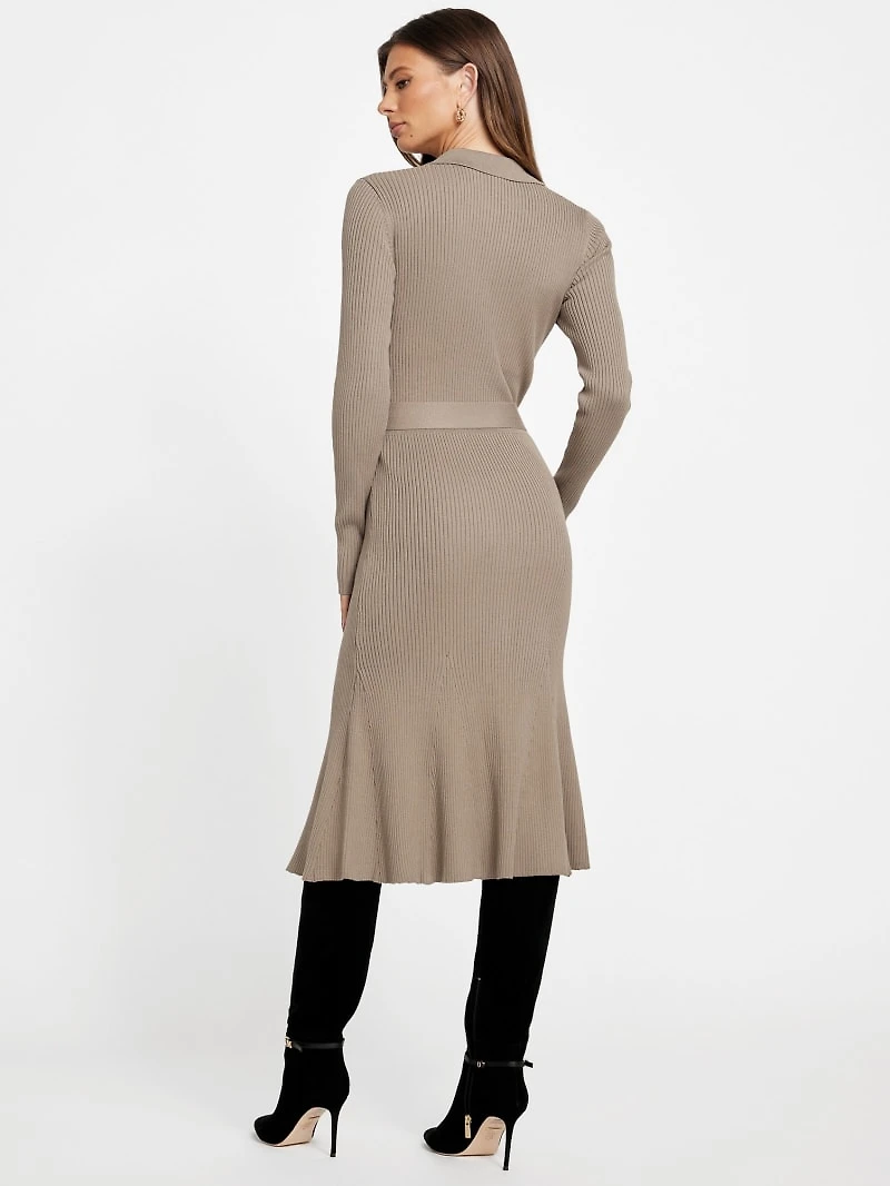 Agathe Polo Sweater Dress